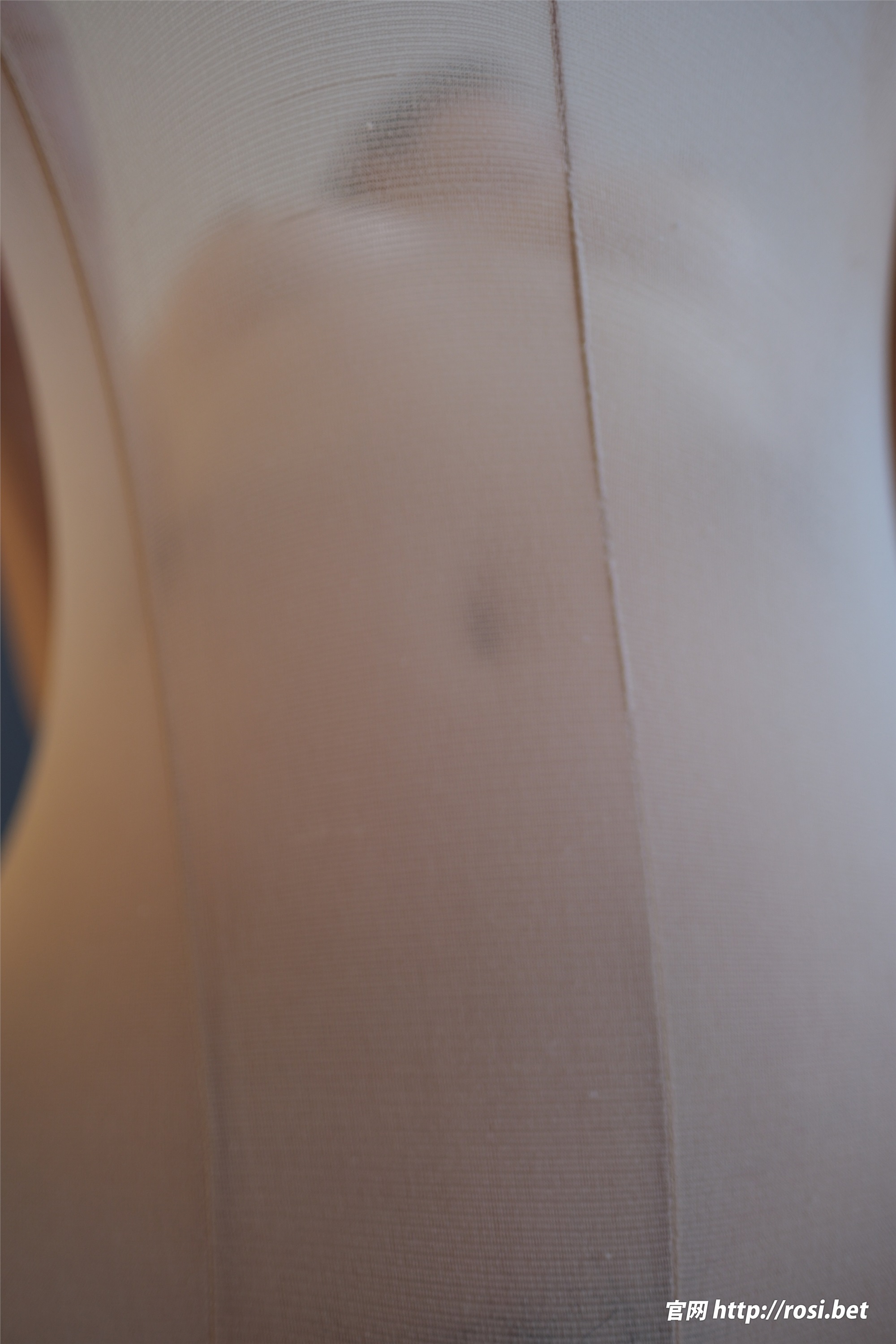 ROSI写真 2026.03.01 NO.5200